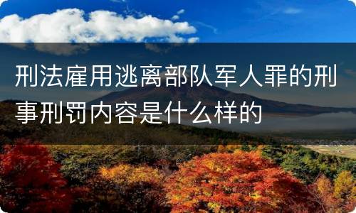 刑法雇用逃离部队军人罪的刑事刑罚内容是什么样的