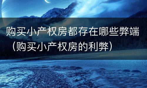 购买小产权房都存在哪些弊端（购买小产权房的利弊）