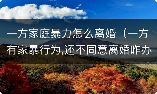 一方家庭暴力怎么离婚（一方有家暴行为,还不同意离婚咋办）