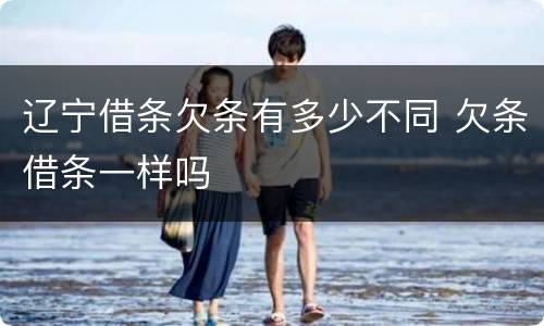 辽宁借条欠条有多少不同 欠条借条一样吗