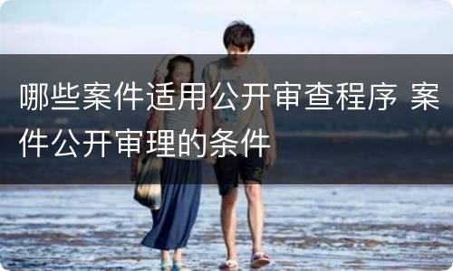 哪些案件适用公开审查程序 案件公开审理的条件