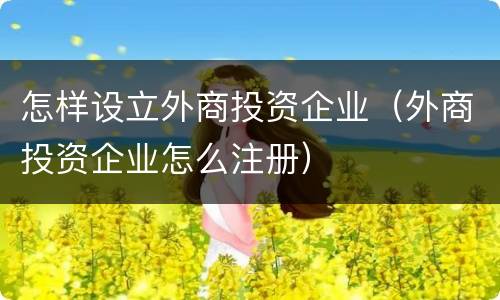 怎样设立外商投资企业（外商投资企业怎么注册）