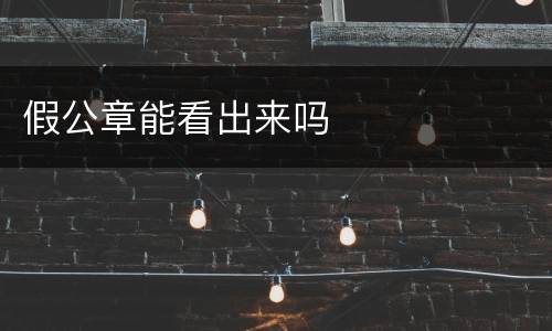 假公章能看出来吗