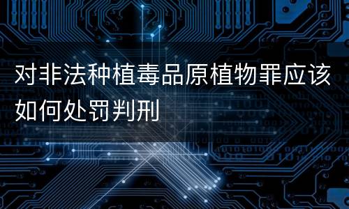 对非法种植毒品原植物罪应该如何处罚判刑