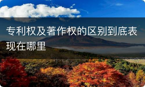专利权及著作权的区别到底表现在哪里