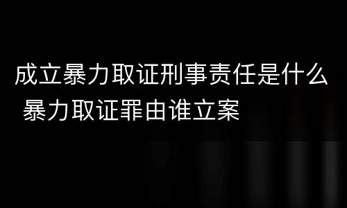 成立暴力取证刑事责任是什么 暴力取证罪由谁立案