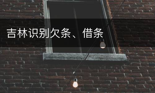 吉林识别欠条、借条