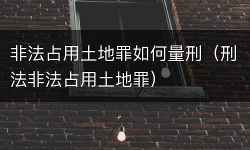非法占用土地罪如何量刑（刑法非法占用土地罪）