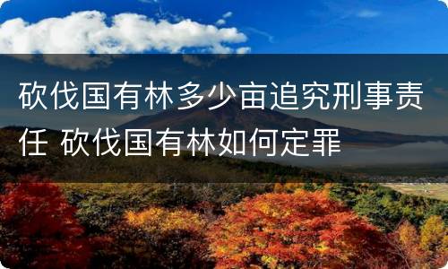 砍伐国有林多少亩追究刑事责任 砍伐国有林如何定罪