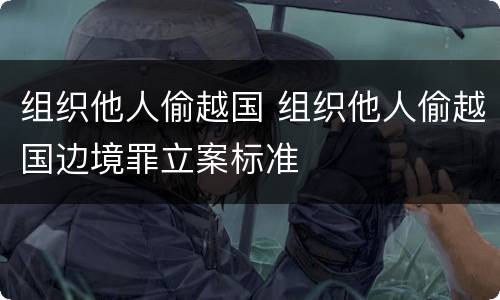 组织他人偷越国 组织他人偷越国边境罪立案标准