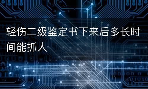 轻伤二级鉴定书下来后多长时间能抓人