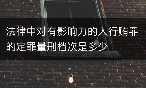 法律中对有影响力的人行贿罪的定罪量刑档次是多少
