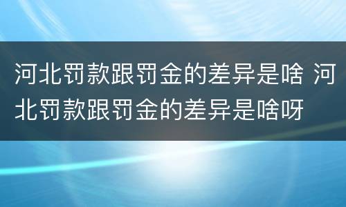 河北罚款跟罚金的差异是啥 河北罚款跟罚金的差异是啥呀