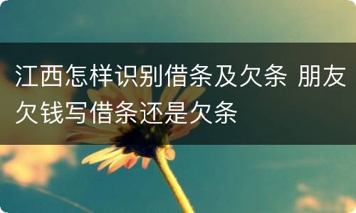 江西怎样识别借条及欠条 朋友欠钱写借条还是欠条