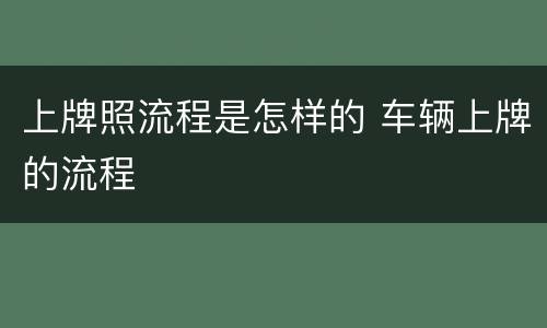 上牌照流程是怎样的 车辆上牌的流程