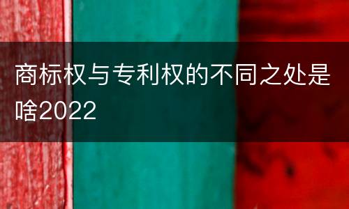 商标权与专利权的不同之处是啥2022
