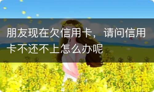 朋友现在欠信用卡，请问信用卡不还不上怎么办呢