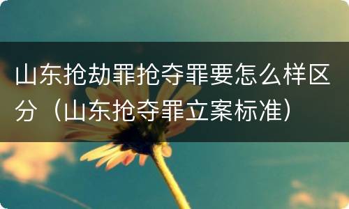 山东抢劫罪抢夺罪要怎么样区分（山东抢夺罪立案标准）