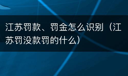 江苏罚款、罚金怎么识别（江苏罚没款罚的什么）