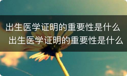 出生医学证明的重要性是什么 出生医学证明的重要性是什么呢