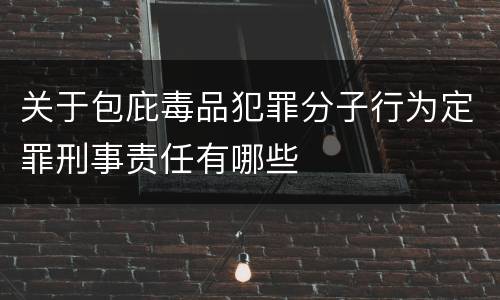 关于包庇毒品犯罪分子行为定罪刑事责任有哪些