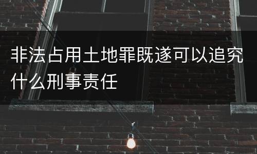 非法占用土地罪既遂可以追究什么刑事责任