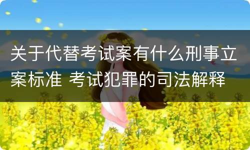 关于代替考试案有什么刑事立案标准 考试犯罪的司法解释