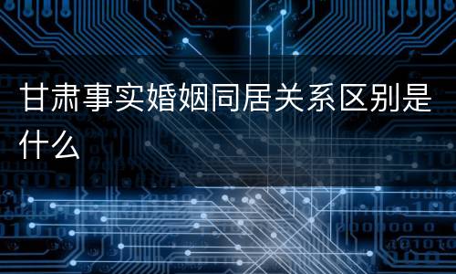 甘肃事实婚姻同居关系区别是什么