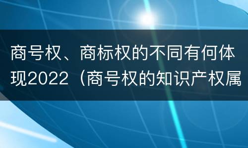 商号权、商标权的不同有何体现2022（商号权的知识产权属性）