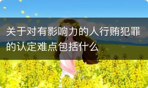 关于对有影响力的人行贿犯罪的认定难点包括什么