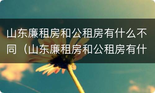 山东廉租房和公租房有什么不同（山东廉租房和公租房有什么不同吗）