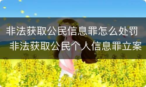 非法获取公民信息罪怎么处罚 非法获取公民个人信息罪立案标准