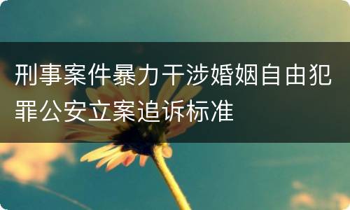 刑事案件暴力干涉婚姻自由犯罪公安立案追诉标准