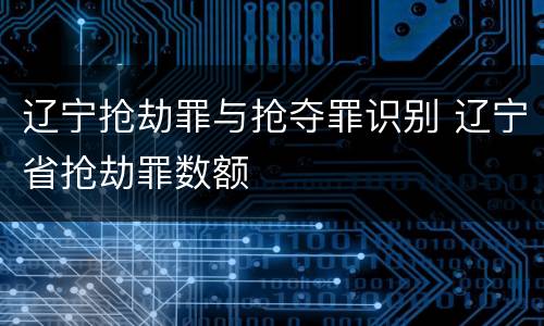 辽宁抢劫罪与抢夺罪识别 辽宁省抢劫罪数额