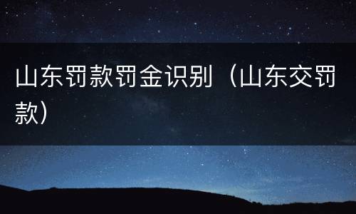 山东罚款罚金识别（山东交罚款）
