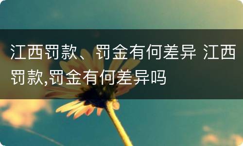江西罚款、罚金有何差异 江西罚款,罚金有何差异吗