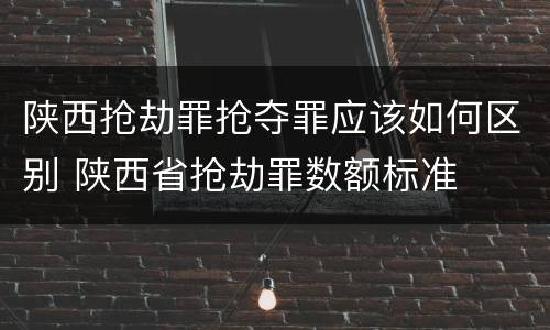 陕西抢劫罪抢夺罪应该如何区别 陕西省抢劫罪数额标准