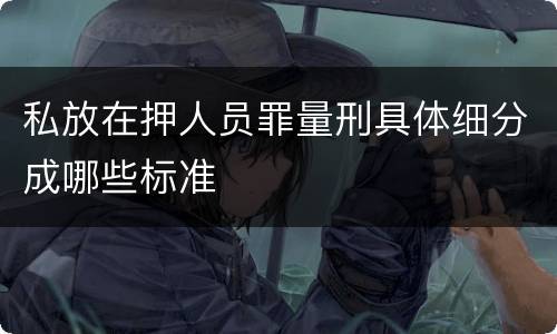 私放在押人员罪量刑具体细分成哪些标准