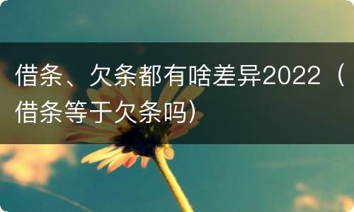 借条、欠条都有啥差异2022（借条等于欠条吗）