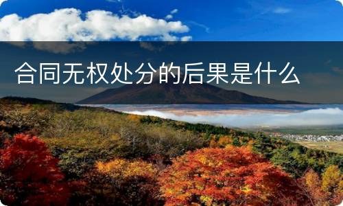 合同无权处分的后果是什么