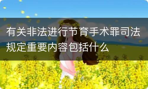 有关非法进行节育手术罪司法规定重要内容包括什么