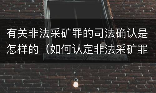 有关非法采矿罪的司法确认是怎样的（如何认定非法采矿罪）