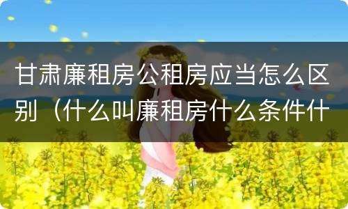 甘肃廉租房公租房应当怎么区别（什么叫廉租房什么条件什么叫公租房）