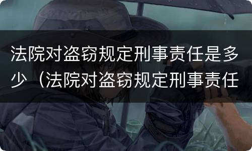 法院对盗窃规定刑事责任是多少（法院对盗窃规定刑事责任是多少条）