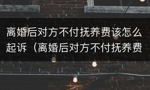 离婚后对方不付抚养费该怎么起诉（离婚后对方不付抚养费该怎么起诉呢）