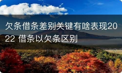 欠条借条差别关键有啥表现2022 借条以欠条区别