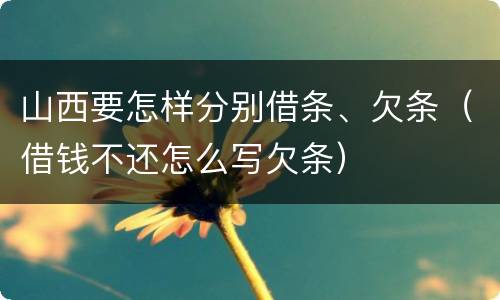 山西要怎样分别借条、欠条（借钱不还怎么写欠条）