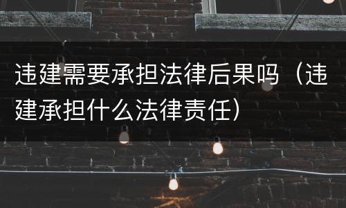 违建需要承担法律后果吗（违建承担什么法律责任）