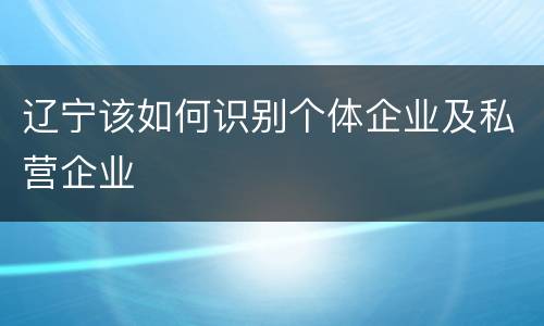 辽宁该如何识别个体企业及私营企业