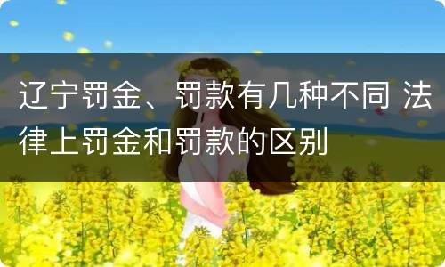 辽宁罚金、罚款有几种不同 法律上罚金和罚款的区别